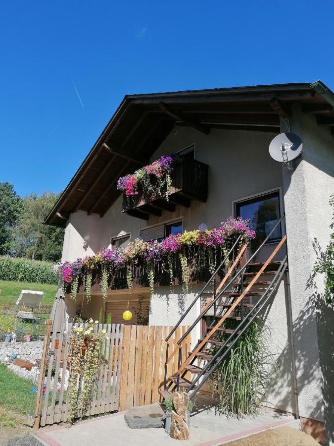 Ferienwohnung Egelkraut Schwarzenbach an der Saale ภายนอก รูปภาพ